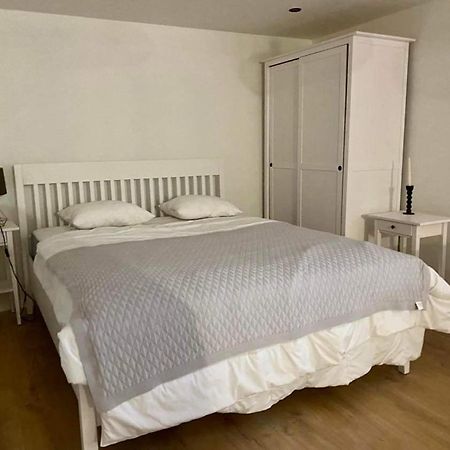 Brick Apartment ジリナ エクステリア 写真